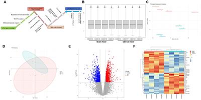 Neuron stress-related genes serve as new biomarkers in hypothalamic tissue following high fat diet